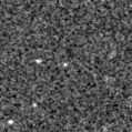 2021fpg_image