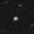 2021fpt_image