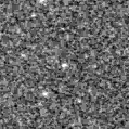 2021ftf_image