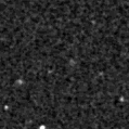 2021fvp_image