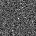 2021fzk_image