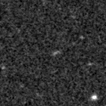 2021go_image