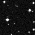 2021goz_image