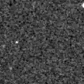2021gtv_image