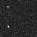 2021hcm_image