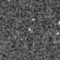 2021hgp_image