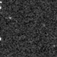 2021hnh_image