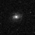 2021hpv_image