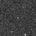 2021hsp_image