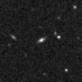 2021ibg_image