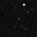 2021iid_image