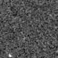 2021ils_image
