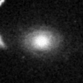 2021ilv_image