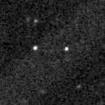 2021ipd_image