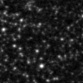 2021isc_image