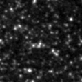 2021ith_image