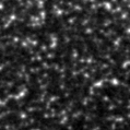 2021itl_image