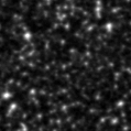 2021itm_image
