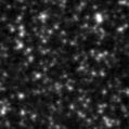 2021itv_image