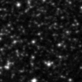 2021jir_image