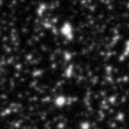 2021jmt_image