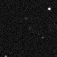 2021jog_image
