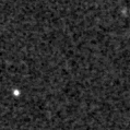 2021jrc_image