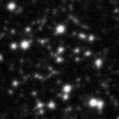 2021jrq_image