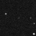 2021jsm_image