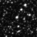 2021jvd_image