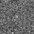 2021jxo_image