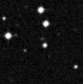 2021kew_image