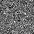 2021kft_image