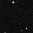 2021koi_image