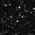 2021kpd_image