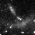 2021kqd_image