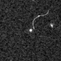 2021kvf_image