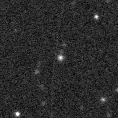 2021lcv_image