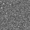 2021lcx_image