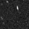 2021ldp_image