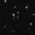 2021ldw_image