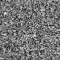2021lec_image