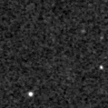 2021lek_image