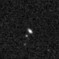 2021ljf_image