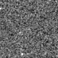 2021llf_image