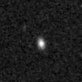 2021lll_image