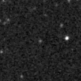 2021lmb_image