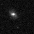 2021lmx_image