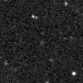 2021lnt_image