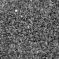 2021lof_image